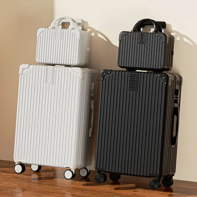 2-in-1 Travel Suitcase Set